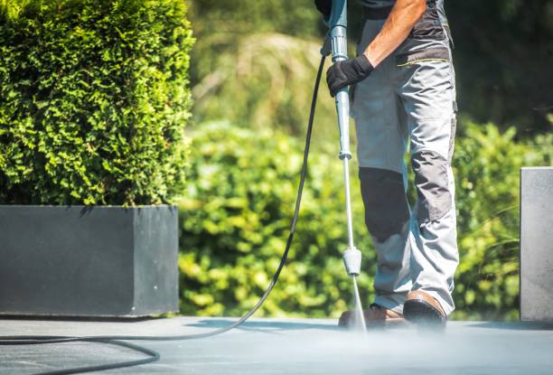 Best Animal Enclosure Cleaning  in Brock Hall, MD