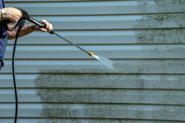 Best Graffiti Removal  in Brock Hall, MD
